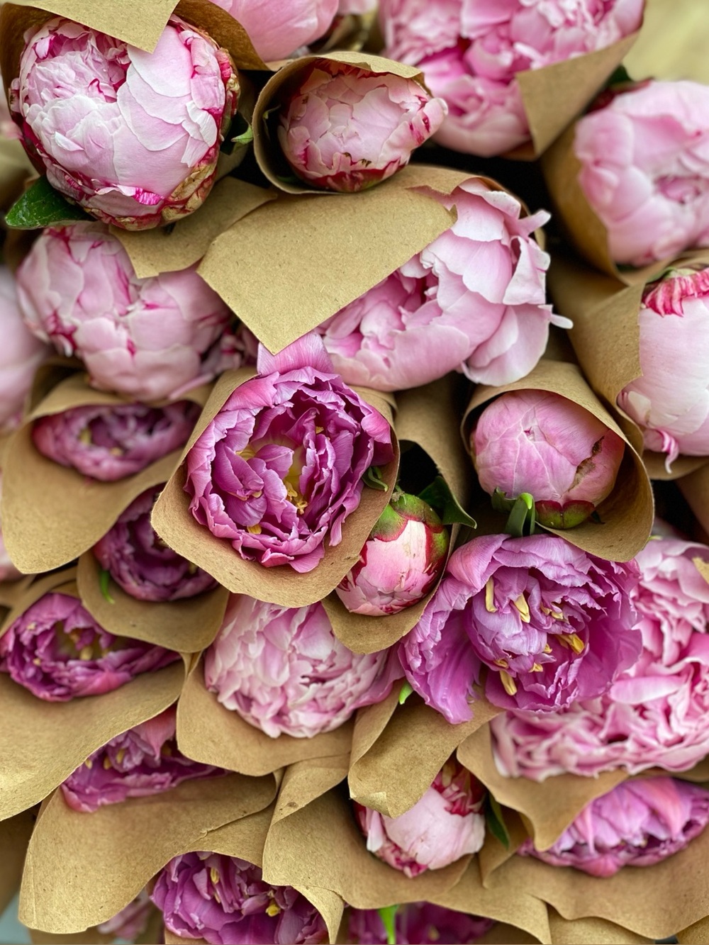 Unknown Brand Pink Peony Bouquet Wall Art Print